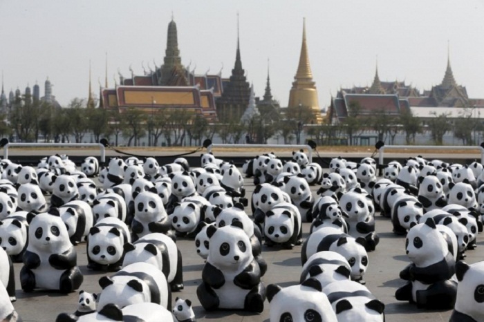 Thaïlande: “Pandamonium!”